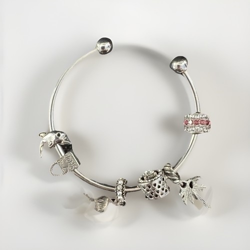 Bracciale charm argento - bracciale,