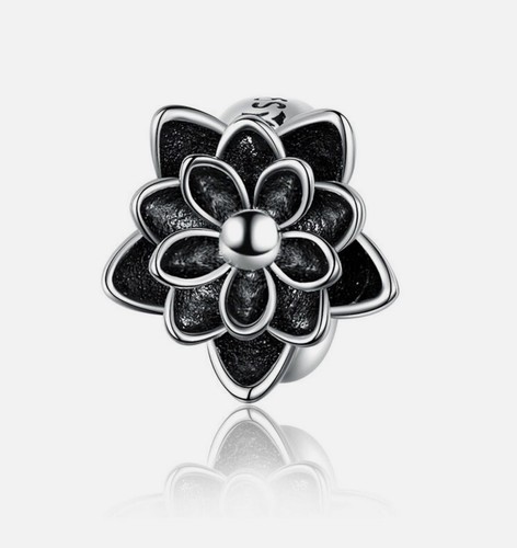 Charm ferma sicurezza - charm,