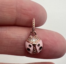 Carino ciondolo coccinella